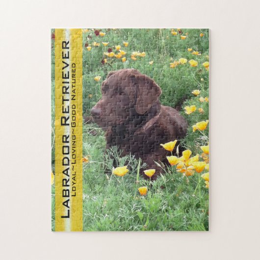 Chocolade Lab in California Poppy Patch Legpuzzel (Verticaal)