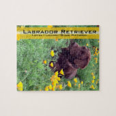 Chocolade Lab in California Poppy Patch Legpuzzel (Horizontaal)