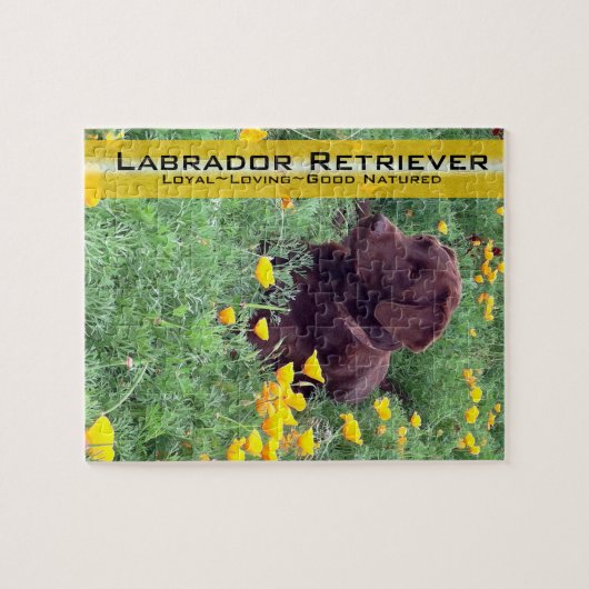 Chocolade Lab in California Poppy Patch Legpuzzel (Horizontaal)