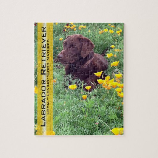 Chocolade Lab in California Poppy Patch Legpuzzel (Verticaal)