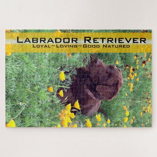 Chocolade Lab in California Poppy Patch Legpuzzel (Horizontaal)