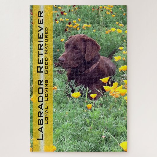 Chocolade Lab in California Poppy Patch Legpuzzel (Verticaal)