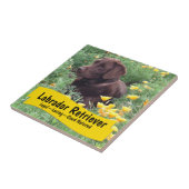 Chocolade Lab in California Poppy Patch Tegeltje (Zijkant)