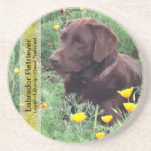 Chocolade Lab in California Poppy Patch Zandsteen Onderzetter (Voorkant)