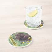 Chocolade Lab in California Poppy Patch Zandsteen Onderzetter (Zijkant)