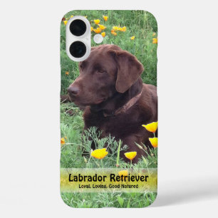 Chocolade Lab in Californië Klaproos Patch iPhone 16 Plus Hoesje