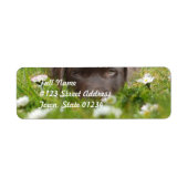 Chocolade Lab in Daisies Mailing Labels (Voorkant)