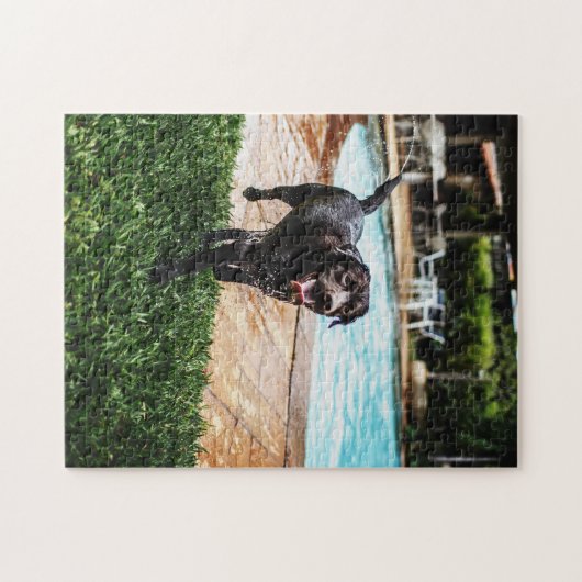 Chocolade lab in de pool legpuzzel (Horizontaal)
