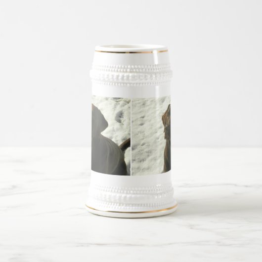 Chocolade Lab in de sneeuw Bierpul (Center)