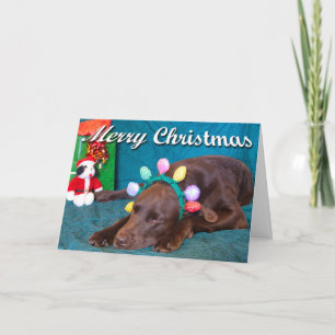 Chocolade Lab In Kostuum Foto Aangepaste Binnen Te Feestdagen Kaart