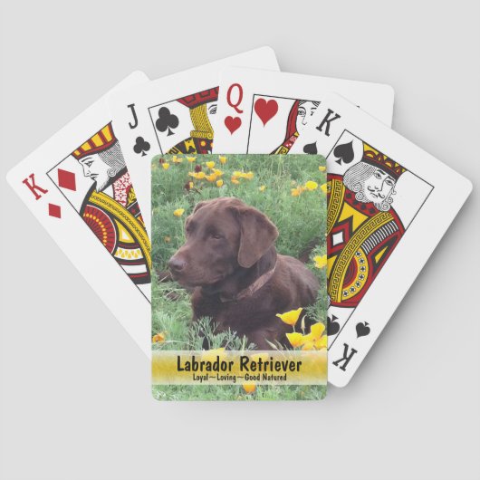 Chocolade Lab in papaverbloemen aangepaste foto Speelkaarten (Achterkant)