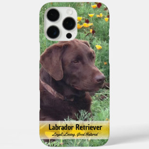 Chocolade Lab in Poppy Patch Placeholder Foto iPhone 16 Pro Max Hoesje