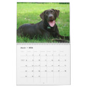 Chocolade Lab kalender (Mar 2026)