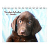 Chocolade Lab kalender (Hoes)