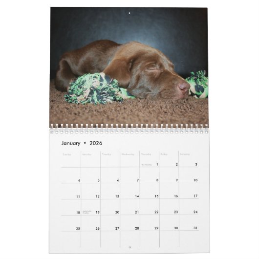 Chocolade Lab kalender (Jan 2026)