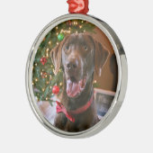 Chocolade Lab Kerstversiering Metalen Ornament (Links)