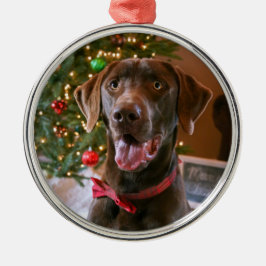 Chocolade Lab Kerstversiering Metalen Ornament