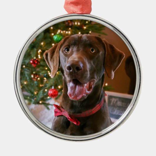 Chocolade Lab Kerstversiering Metalen Ornament (Voorkant)