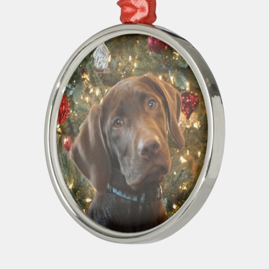 Chocolade Lab Kerstversiering Metalen Ornament (Links)