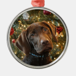 Chocolade Lab Kerstversiering Metalen Ornament