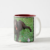 Chocolade Lab Koffie Mok (Voorkant rechts)