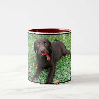 Chocolade Lab Koffie Mok