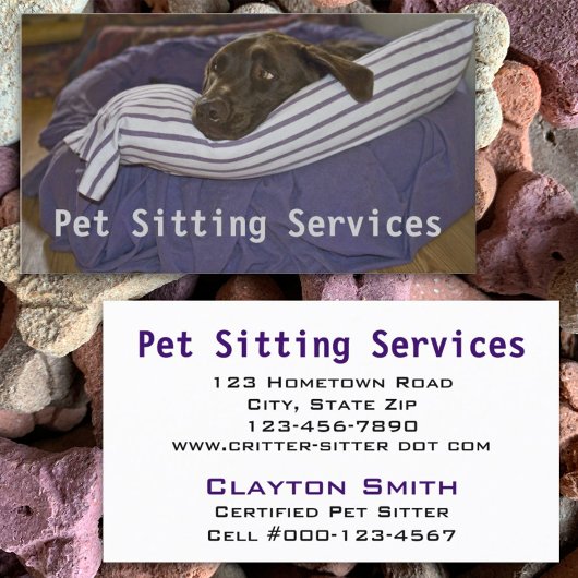 Chocolade Lab Lying on Paars and White Pillow Visitekaartje