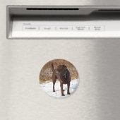 Chocolade Lab magneet (Insitu (Vaatwasser))