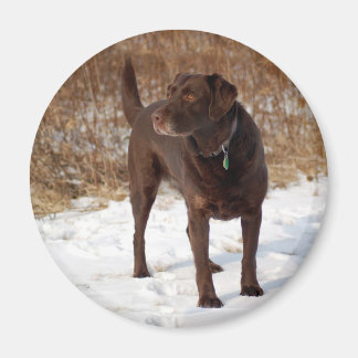Chocolade Lab magneet