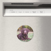 Chocolade Lab Magneet (Insitu (Vaatwasser))