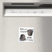 Chocolade Lab Magneet (Insitu (Vaatwasser))