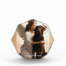 Chocolade Lab met Angel Custom Memorial