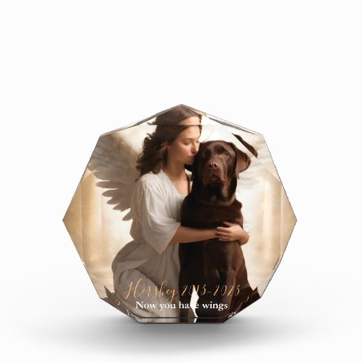 Chocolade Lab met Angel Custom Memorial Fotoblokken (Voorkant)
