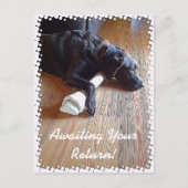 Chocolade Lab met beenfoto Briefkaart (Voorkant)