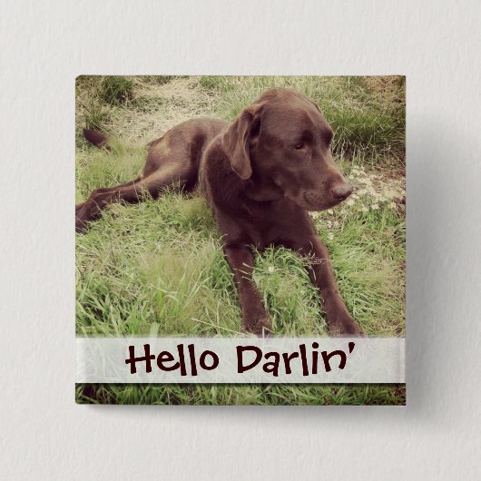 Chocolade Lab met grijze foto Vierkante Button 5,1 Cm (Voorkant)
