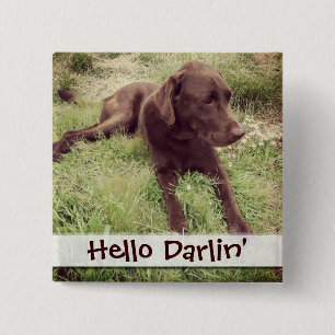 Chocolade Lab met grijze foto Vierkante Button 5,1 Cm