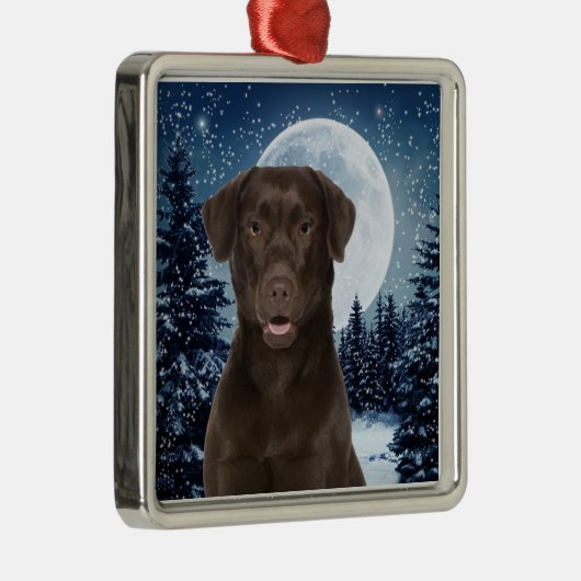 Chocolade Lab Metalen Ornament (Rechts)
