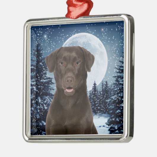 Chocolade Lab Metalen Ornament (Links)