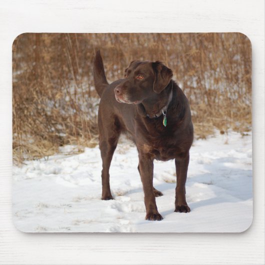 Chocolade Lab Mousepad Muismat (Voorkant)
