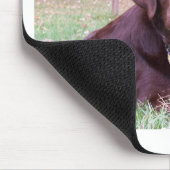 Chocolade Lab Muismat (Hoek)