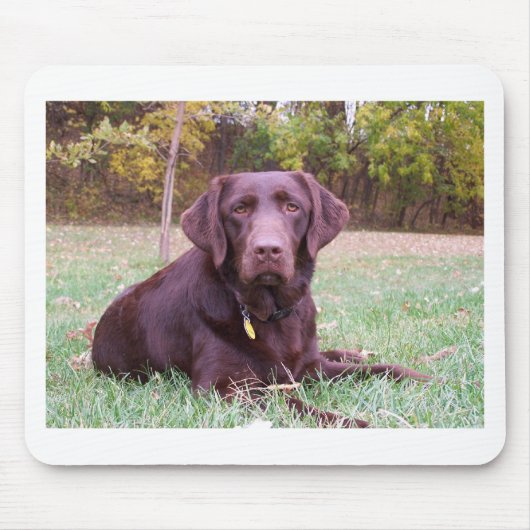 Chocolade Lab Muismat (Voorkant)