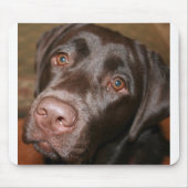 Chocolade Lab Muismat (Voorkant)