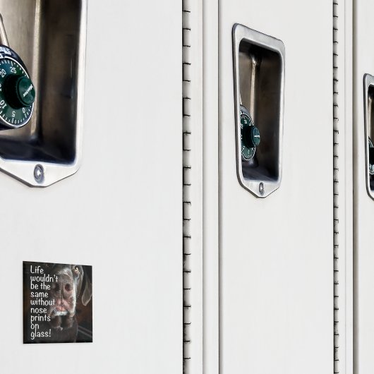 Chocolade Lab Nose Sluiten Foto Magneet (Insitu (Kluis))