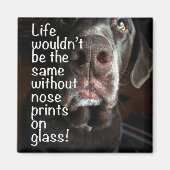 Chocolade Lab Nose Sluiten Foto Magneet (Voorkant)