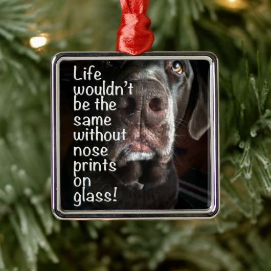 Chocolade Lab Nose Sluiten Foto Metalen Ornament (Boom)