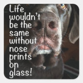 Chocolade Lab Nose Sluiten Foto Vierkante Sticker (Voorkant)