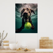 Chocolade Lab onderwater duiken Poster (Keuken)