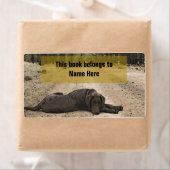 Chocolade Lab op een bos spoor Etiket (Insitu)