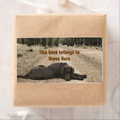 Chocolade Lab op een bos spoor Etiket (Insitu)