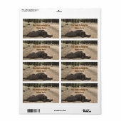 Chocolade Lab op een bos spoor Etiket (Full Sheet)